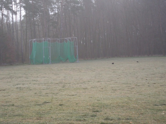 640x480 pixels (91K)